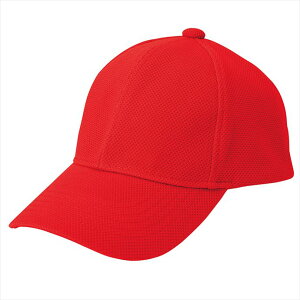 ACgX AITOZ yʃu[YLbv 66312 009.bh ƕ ƒ jtH[