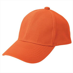 ACgX AITOZ yʃu[YLbv 66312 063.IW ƕ ƒ jtH[