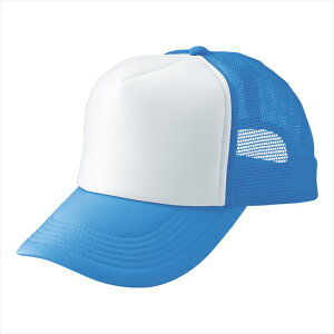 ACgX AITOZ AJbVLbviMC30^3100j66313 007.TbNX×zCg ƕ ƒ jtH[