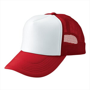 ACgX AITOZ AJbVLbviMC30^3100j66313 009.bh×zCg ƕ ƒ jtH[