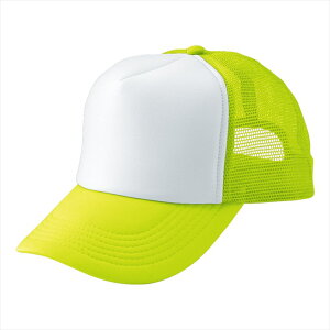 ACgX AITOZ AJbVLbviMC30^3100j66313 018.tbVCG[×zCg ƕ ƒ jtH[