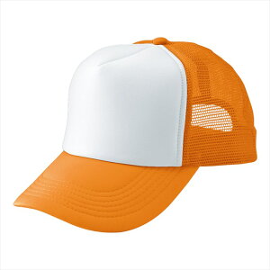 ACgX AITOZ AJbVLbviMC30^3100j66313 019.S[hCG[×zCg ƕ ƒ jtH[