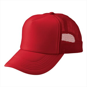 ACgX AITOZ AJbVLbviMC31^3100j66315 009.bh ƕ ƒ jtH[