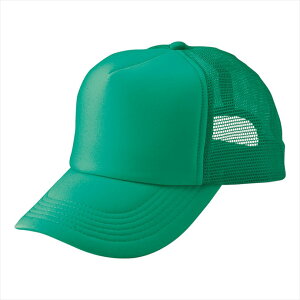 ACgX AITOZ AJbVLbviMC31^3100j66315 024.Ghu[ ƕ ƒ jtH[