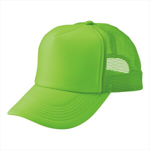 ACgX AITOZ AJbVLbviMC31^3100j66315 051.tbVO[ ƕ ƒ jtH[