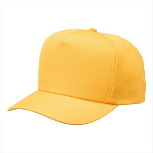 ACgX AITOZ [eBeBLbvi35000j66333 019.CG[ ƕ ƒ jtH[