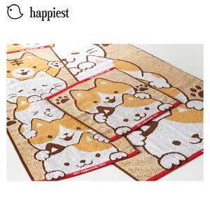 y[֔z݂˂@EHbV^I@34cm×35m nh^I 킢 nJ` ^I@C@@v[@C@L@lR@@LN^[ Aj}@^I@V@Vw