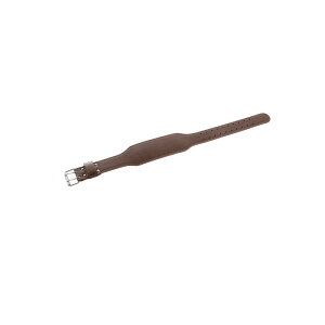 Goj[ EVERNEW ETB588 g[jOxgM X|[cpi ̈pi  wZ ۈ牀 ct qp c