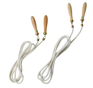 g[GCCg TOEI LIGHT T2837 Wv[v3m X|[cpi ̈pi  wZ ۈ牀 ct qp