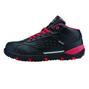 ƌC SC Z[teBV[Y ϖ y RۖhL W[xbN 85129