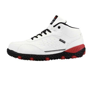 ƌC SC Z[teBV[Y ϖ y RۖhL W[xbN 85129