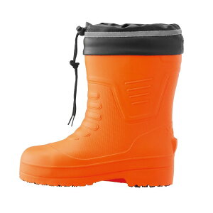 C SC EVAV[gZteBhC c ϊ W[xbN 85715