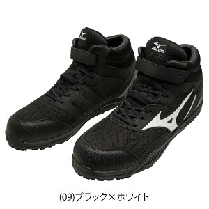 ~Ym SC ƌC c nCJbg I[}CeB[ SDII13H F1GA2307