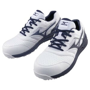 ~Ym SC ƌC c y ϖ ϊ R I[}CeB[ LSII11L F1GA2100