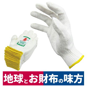 �R�� ���{��DX 12�o���� �t���[ �A�E�g�h�A �����e�i���X �_�� ���| �K�[�f�j���O ���� ���� ��|�� 202783