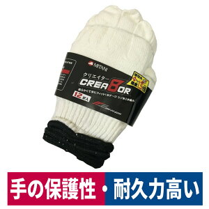 �R�� �N���G�C�^�[ ���� 12�o���� �t���[ �y�� ���z �_�� ��|�� MW-C8