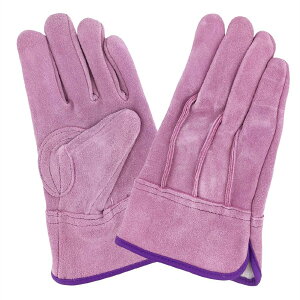 v nqODȊv fB[X _炩 y ^ G[XO[u AG2551-2556