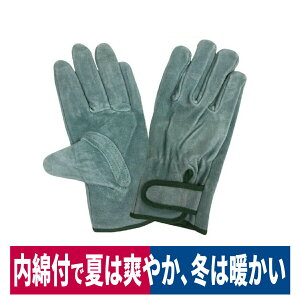 v ICȃ}WbN L  d  y @B D G[XO[u AG445