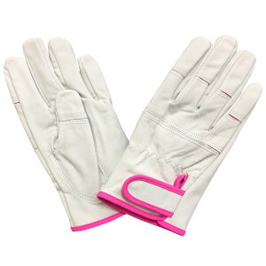 v nq؃NXg}WbNȊv Ci[t W[ | K[fjO G[XO[u AG550