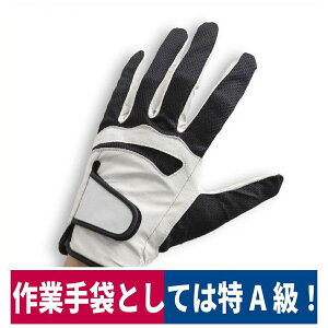 �݌Ɍ��� �v��� �󂠂�r�v�O���[�u ���z �d�@��� �S���t���K�p M/L