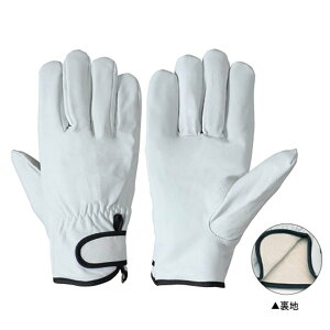 v ؖ{v nt Ae }WbNe[v @B vX ז M/L V PL-719