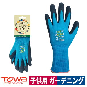 w EBYK[f LbY VRS | K[fjO ANAu[ XS a W382