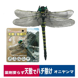 Ij} A  I Lv St ނ AEghA M-42