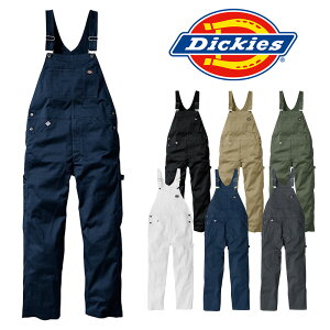 fBbL[Y Dickies T/CXgb`I[o[I[ D-769 ƒ ƕ Tybg jp jZbNX JoLx XS-3XL 傫TCYΉ