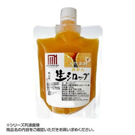 楽天市場 かき氷 シロップ みかんの通販