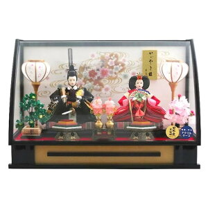 �ЂȐl�` �e���P�[�X���� 0221Z Hina Doll With Case 0221Z ���Ղ� �����l �R���p�N�g �K���X�P�[�X �ؖڍ��� ���ߋ� ���̎q ������� �C���e���A ����� ���̐ߋ�