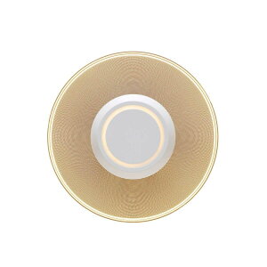�A�C���X�I�[���} ���^�V�[�����O���C�g 1500lm ������ SCL-150D-LGP/ SCL-150L-LGP IRIS OHYAMA LED Ceiling Light 1500 Lumen SCL-150D-LGP/ SCL-150L-LGP �V�[�����O���C�g