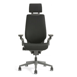 �X�`�[���P�[�X �W�F�X�`���[�`�F�A Steelcase GESTURE CHAIR �I�t�B�X�`�F�A