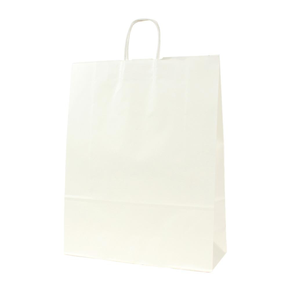 シンプルなデザインの紙袋 パックタケヤマ 68％以上節約 手提袋 今年の新作から定番まで！ HV140 XZK00880 無地 50枚組 晒