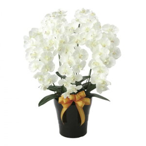 �A�[�g�N���G�C�V�������̊y�� �A�[�g�t�����[ �v���~�A���Ӓ���5�{��W 651K200