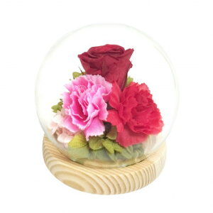 p()@lGXtBA@vU[uht[@K@J[l[V@C38304