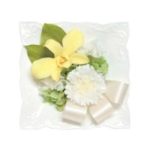 p()@AWg@vU[uht[@(݂)@CG[@C33230