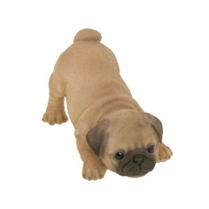 Benny's pO(hAXgbp[) QB-006A