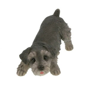 Benny's ViEU[(hAXgbp[) QB-006D