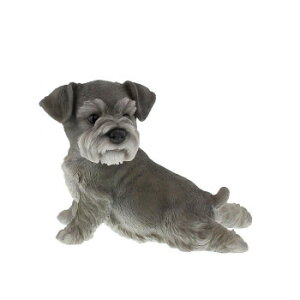 Benny's ViEU[(Xgb`) QB-028D