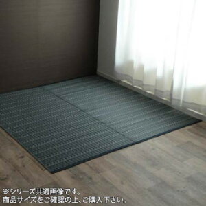 �􂦂� PP�J�[�y�b�g �w�o���J���x �]�ˊ�10��(��435×352cm) �l�C�r�[ 2126509
