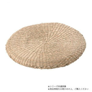 �ݗm(�܂�悤) �C���~�� �� ��40cm 39-371