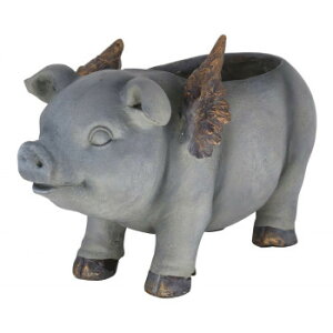 �t�����[�|�b�g PIG 80431