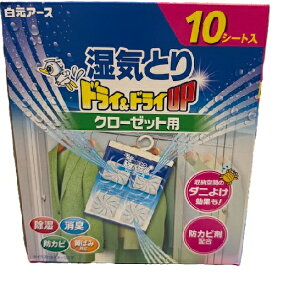 y10zhChCUP N[[bgpV[g 2 × 5Zbg CƂ _j悯 EELEhJr ߗ Q[p N[[bg  ߑP[X