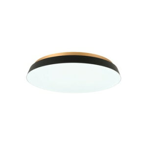 �X�����d�@�t���b�g�V�[�����O���C�g SWAN Flat Ceiling Light LED�Ɩ� �V��Ɩ� ���� �ȃG�l ���r���O