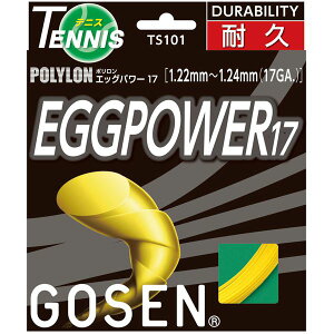 GOSEN�i�S�[�Z���j �G�b�O�p���[17 �C�G���[ TS101Y