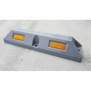 TCNԎ~/p[LOXgbv2{Zbg y100mm O[Fz ˃v[gt XN[AJ[Zbg ysz