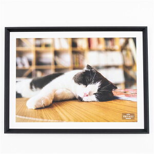 ؐʐ^z A3 F-SW-124-D ubN