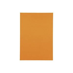 (Ɩp30Zbg)WCebNX Fp/Hp y؂ 10z IW P148J-4