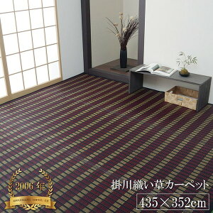 �|��D ���� �Ԃ���/���O�}�b�g �y���_�� �u���b�N �]�ˊ�10�� ��435×352cm�z �R�� �h�L ���{�� �������i�]��ŗD�G�܁y����s�z