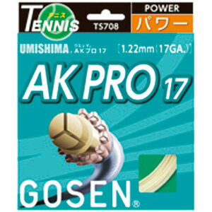 GOSEN�i�S�[�Z���j �E�~�V�} AK�v��17 TS708NA